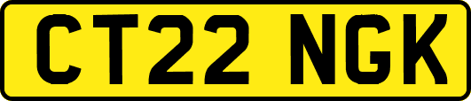 CT22NGK
