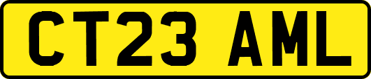 CT23AML