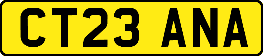 CT23ANA