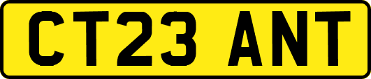 CT23ANT