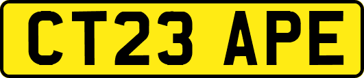 CT23APE
