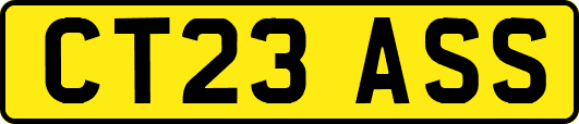 CT23ASS