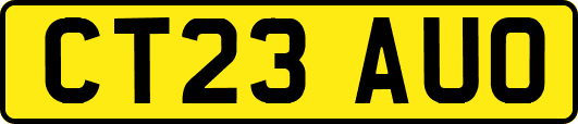 CT23AUO