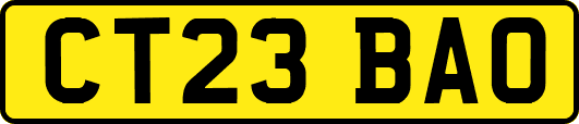 CT23BAO