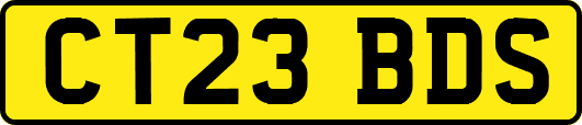 CT23BDS