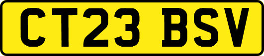 CT23BSV