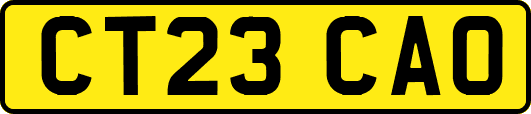 CT23CAO