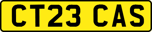 CT23CAS