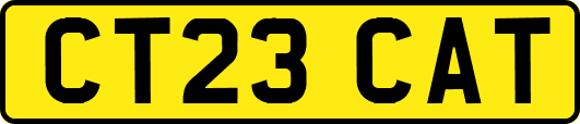 CT23CAT
