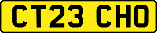 CT23CHO