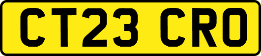 CT23CRO
