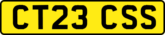 CT23CSS
