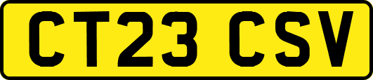 CT23CSV