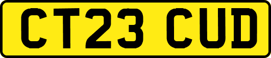 CT23CUD