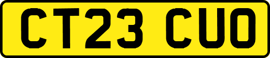 CT23CUO