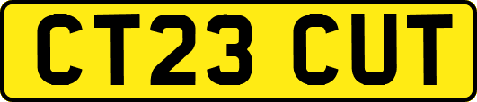 CT23CUT