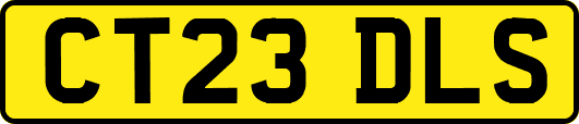 CT23DLS
