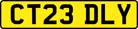 CT23DLY