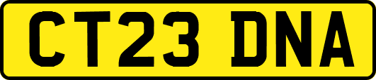 CT23DNA