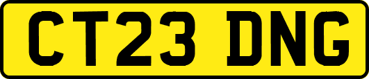 CT23DNG