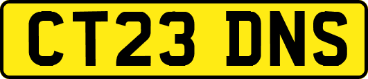 CT23DNS