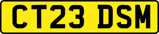 CT23DSM