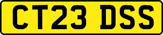 CT23DSS
