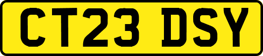 CT23DSY