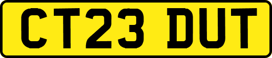 CT23DUT