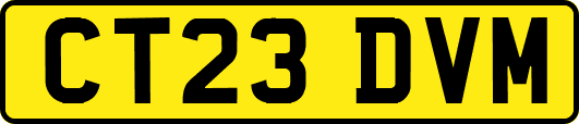 CT23DVM