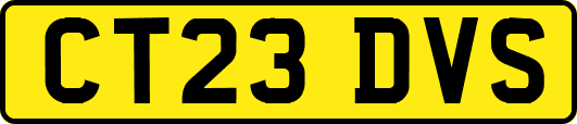 CT23DVS
