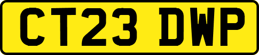 CT23DWP