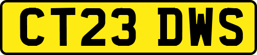 CT23DWS