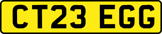CT23EGG