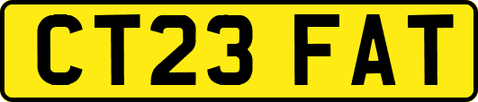 CT23FAT