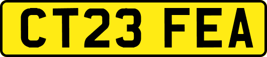 CT23FEA