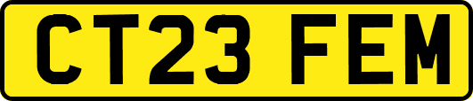 CT23FEM