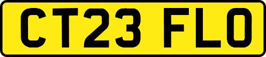 CT23FLO