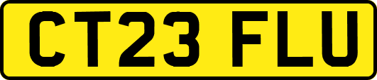CT23FLU