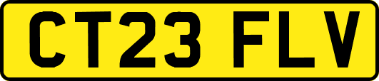 CT23FLV