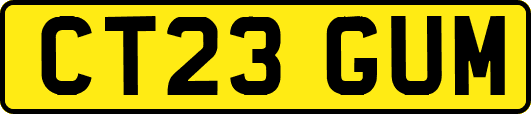CT23GUM
