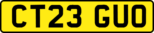 CT23GUO
