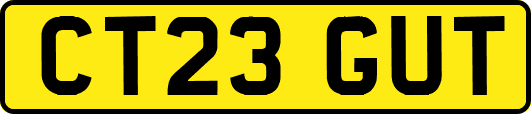 CT23GUT