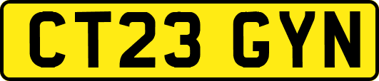 CT23GYN