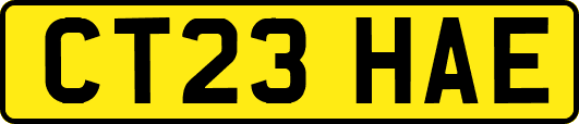 CT23HAE