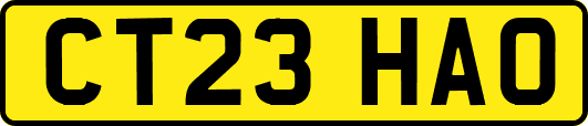 CT23HAO