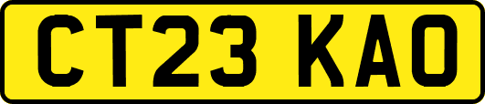 CT23KAO