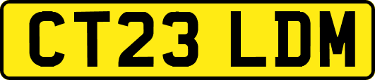 CT23LDM