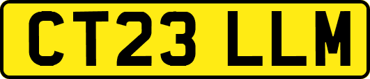 CT23LLM