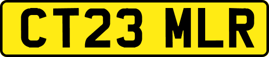 CT23MLR